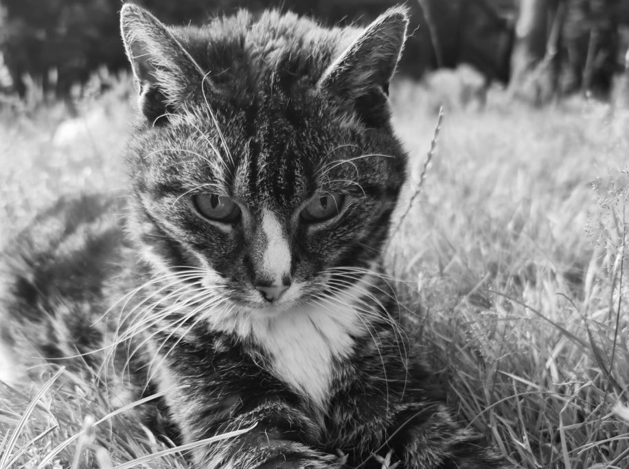 Uschi 🌈11.11.2024