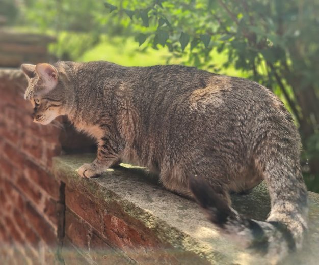 9.6.2025 das 1. Mal im Garten