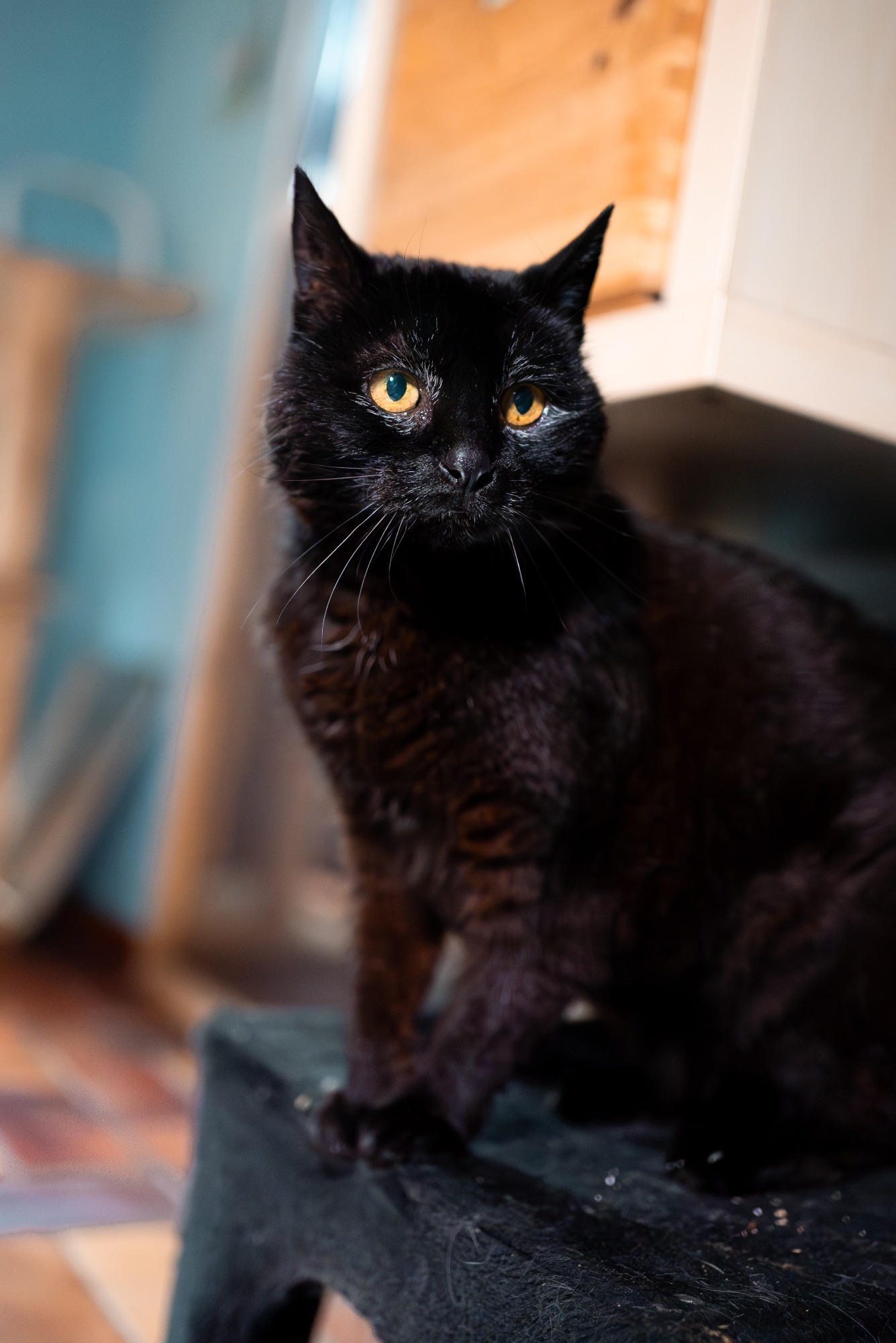 Foto: Lara Peters Foto: Lara Peters