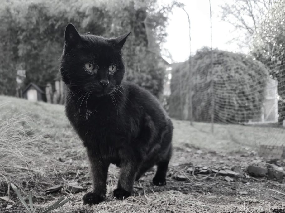 Minka 🌈 6.11.2025