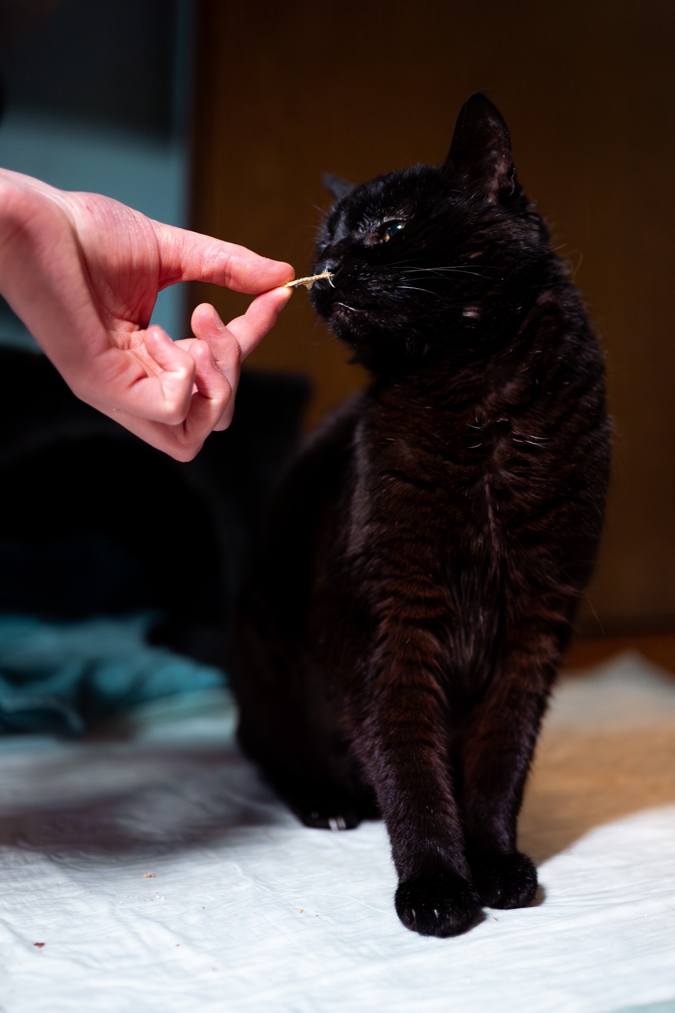 Foto: Lara Peters Foto: Lara Peters