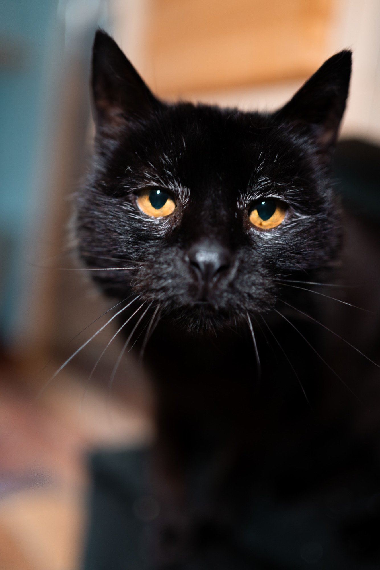 Foto: Lara Peters Foto: Lara Peters