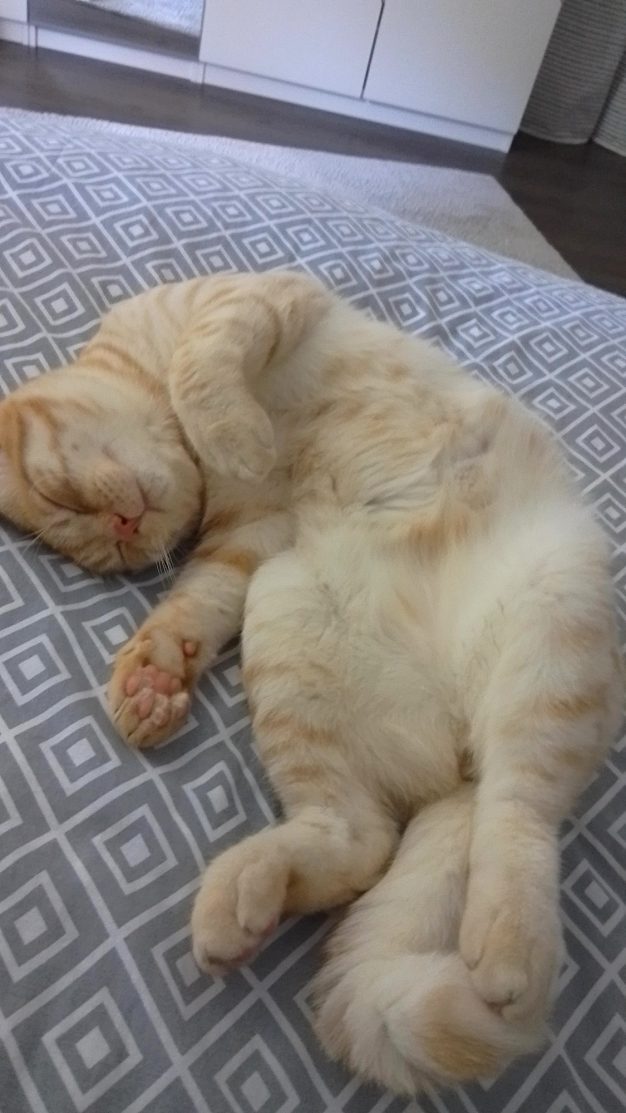 sämtliche Fotos: Cl. Ritter