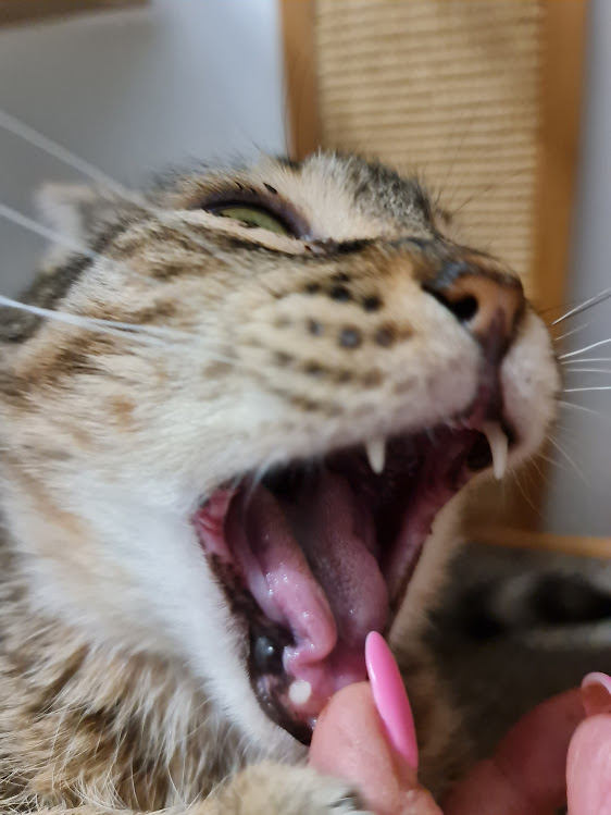 30.5.2025 unter neuen Medis