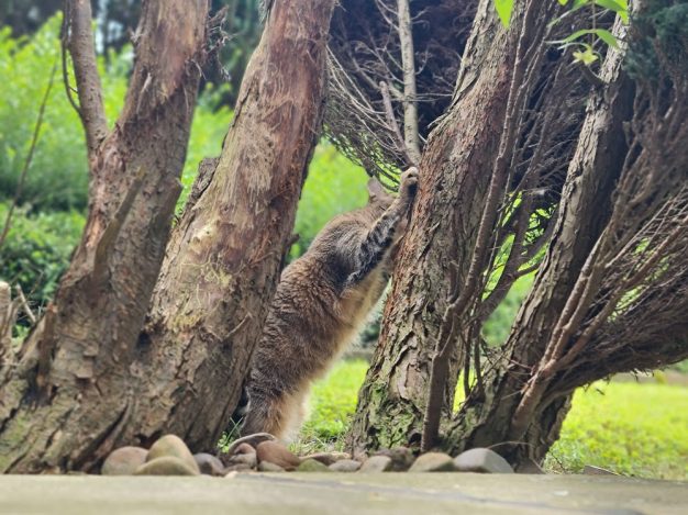 9.6.2025 das 1. Mal im Garten
