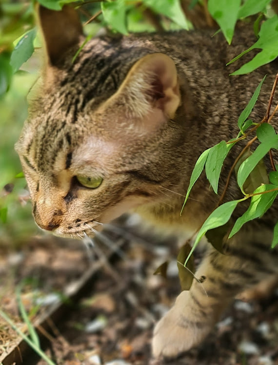 9.6.2025 das 1. Mal im Garten