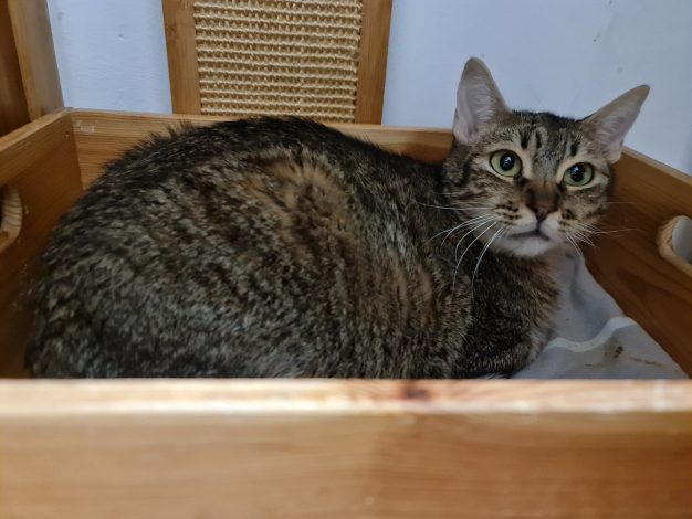 Dez. 2024 vor der Zahn OP